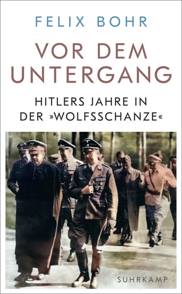 Vor dem Untergang (Felix Bohr)