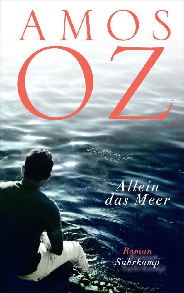 Allein das Meer (Amos Oz)