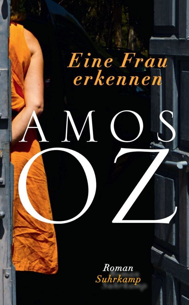 Eine Frau erkennen (Amos Oz)
