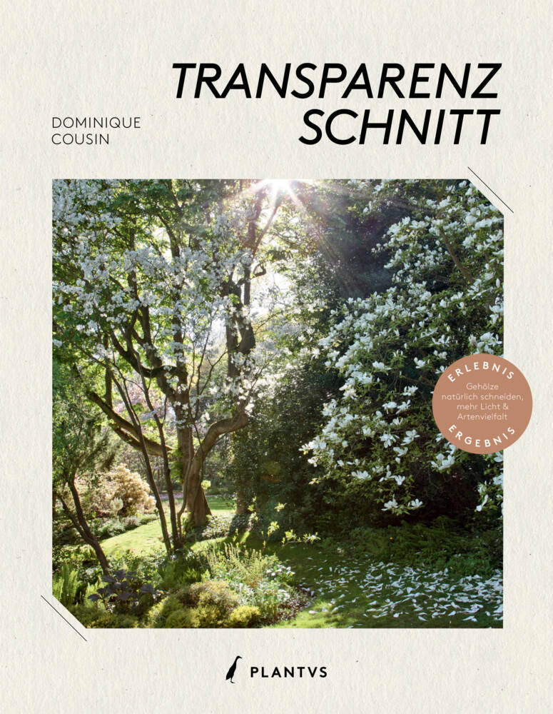 Transparenzschnitt (Dominique Cousin)