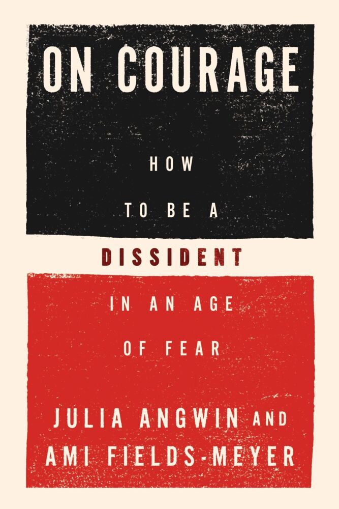 On Courage (Julia Angwin)