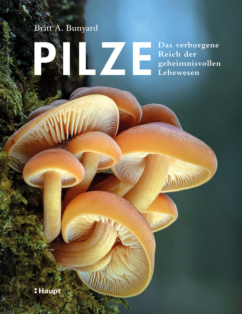 Pilze (Britt A. Bunyard)