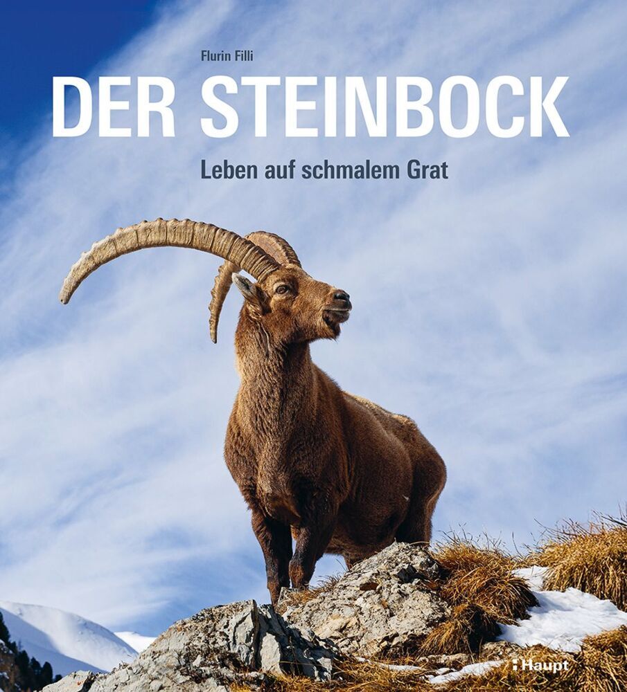 Der Steinbock (Flurin Filli)