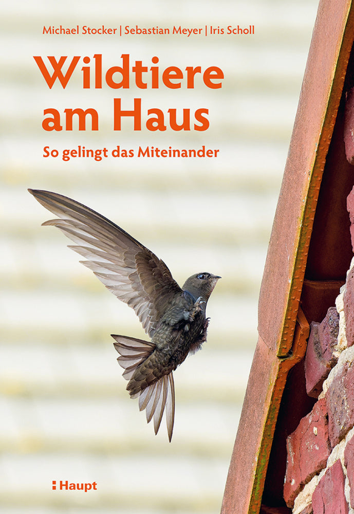 Wildtiere am Haus (Michael Stocker)