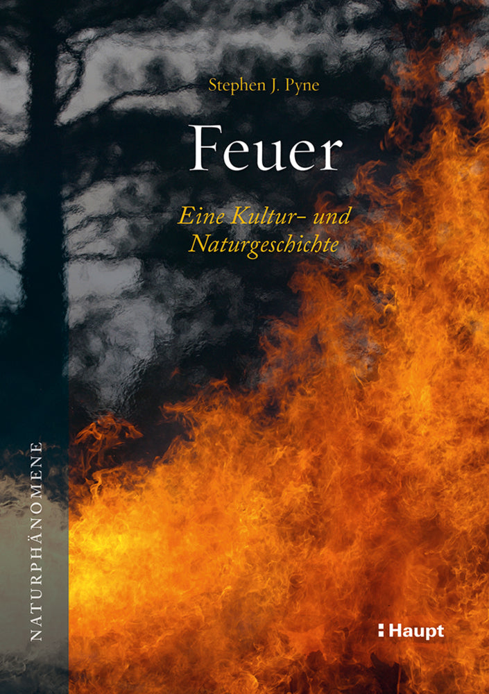 Feuer (Stephen J. Pyne)