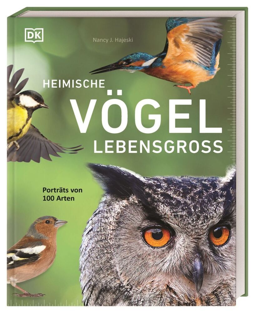 Heimische Vögel lebensgroß (Nancy J. Hajeski)