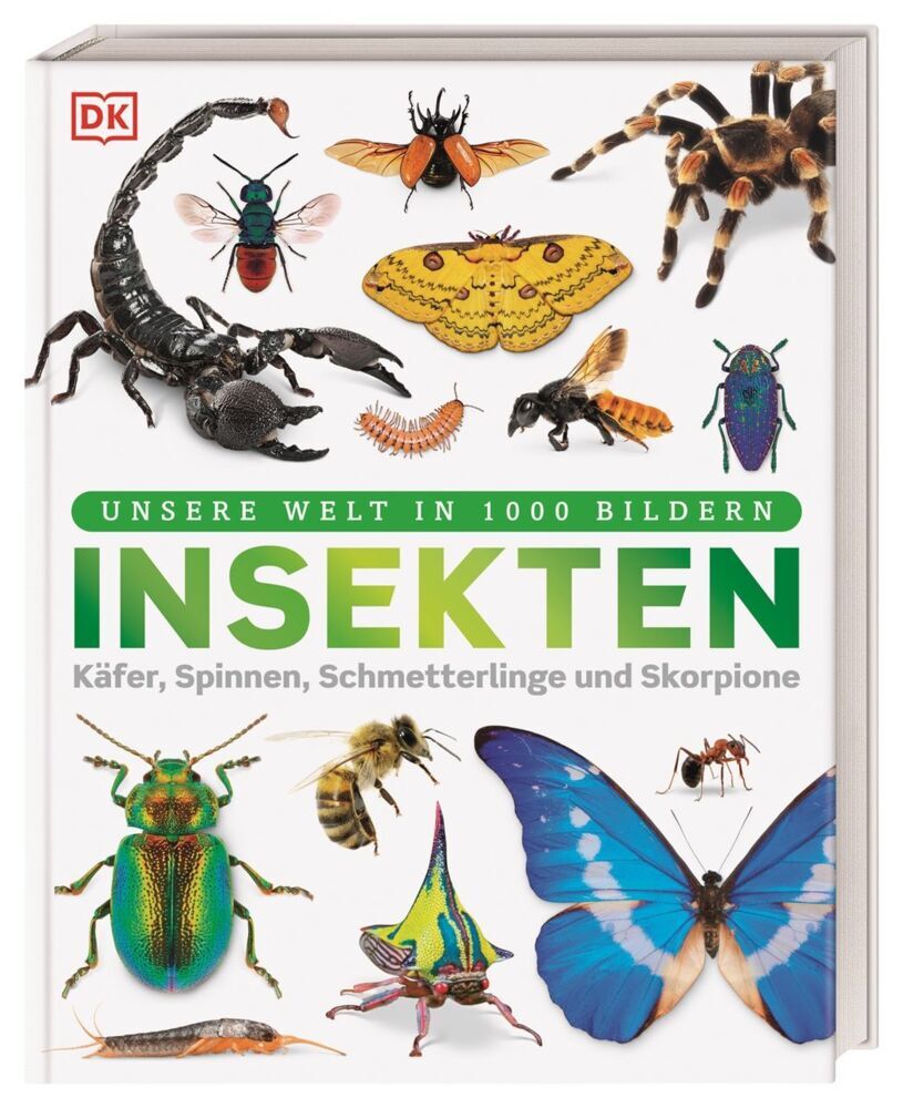 Unsere Welt in 1000 Bildern. Insekten (Ben Ffrancon Dowds)
