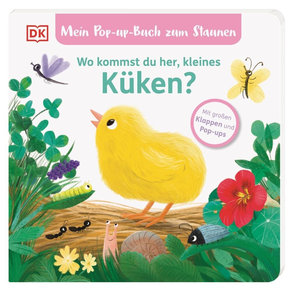 Mein Pop-up-Buch zum Staunen. Wo kommst du her, kleines Küken? (Sandra Grimm)
