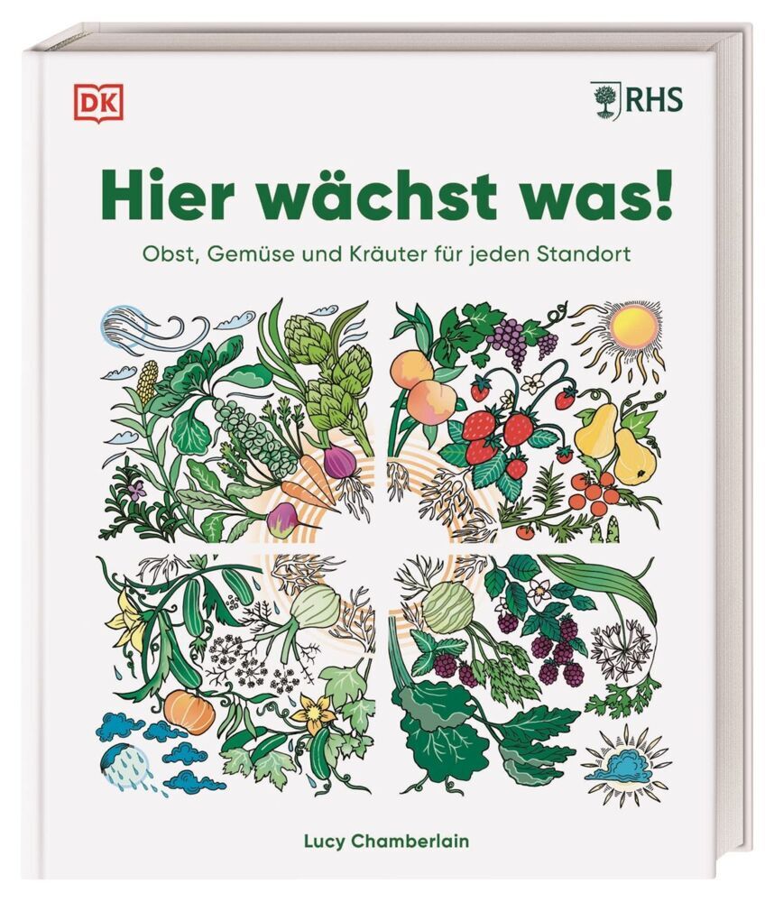 Hier wächst was! (Lucy Chamberlain)