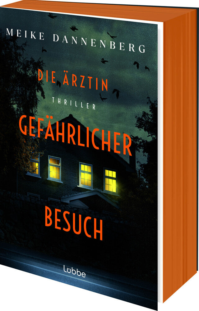 Die Ärztin - Gefährlicher Besuch (Meike Dannenberg)