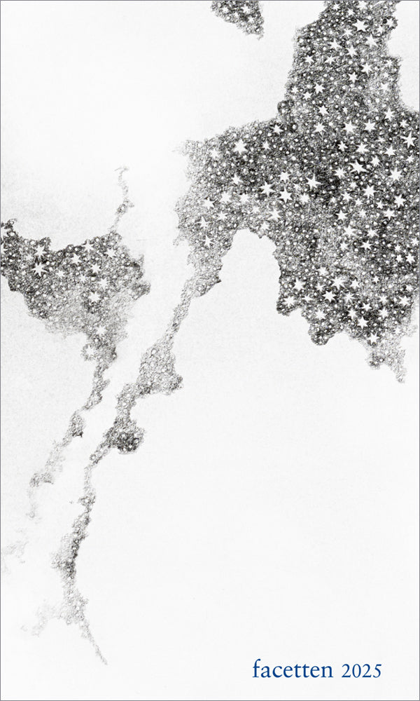 Facetten 2025 (Silvana Steinbacher)