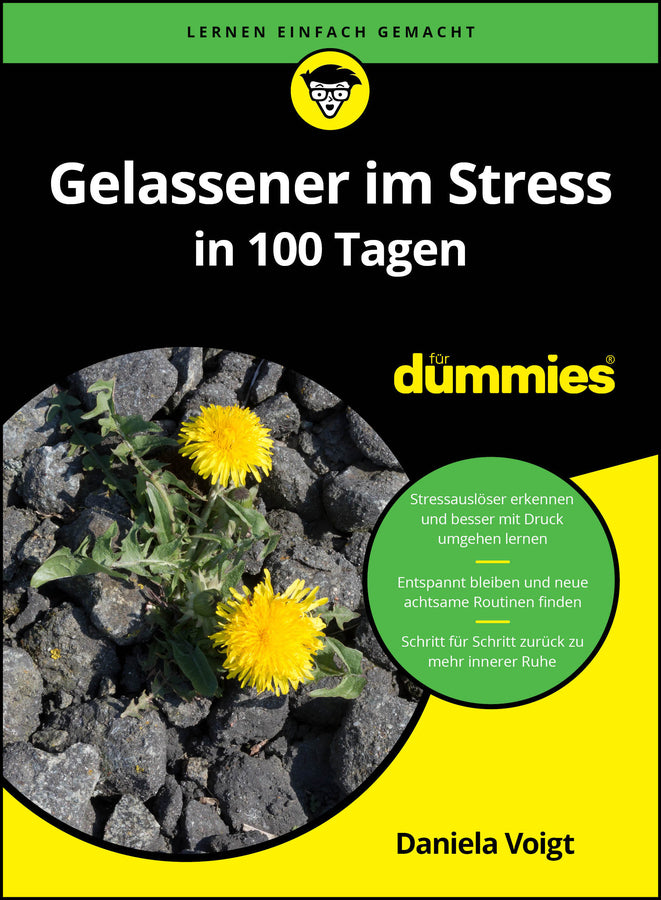 Gelassener im Stress in 100 Tagen für Dummies (Daniela Voigt)