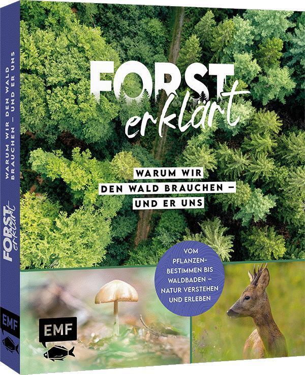 Forst erklärt: Warum wir den Wald brauchen - und er uns (Forst Erklärt)