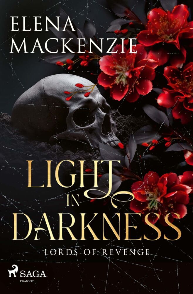 Light in Darkness (Elena Mackenzie)