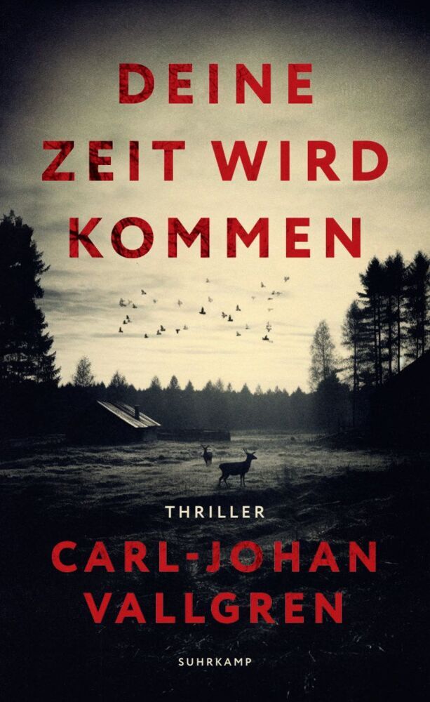 Deine Zeit wird kommen (Carl-Johan Vallgren)