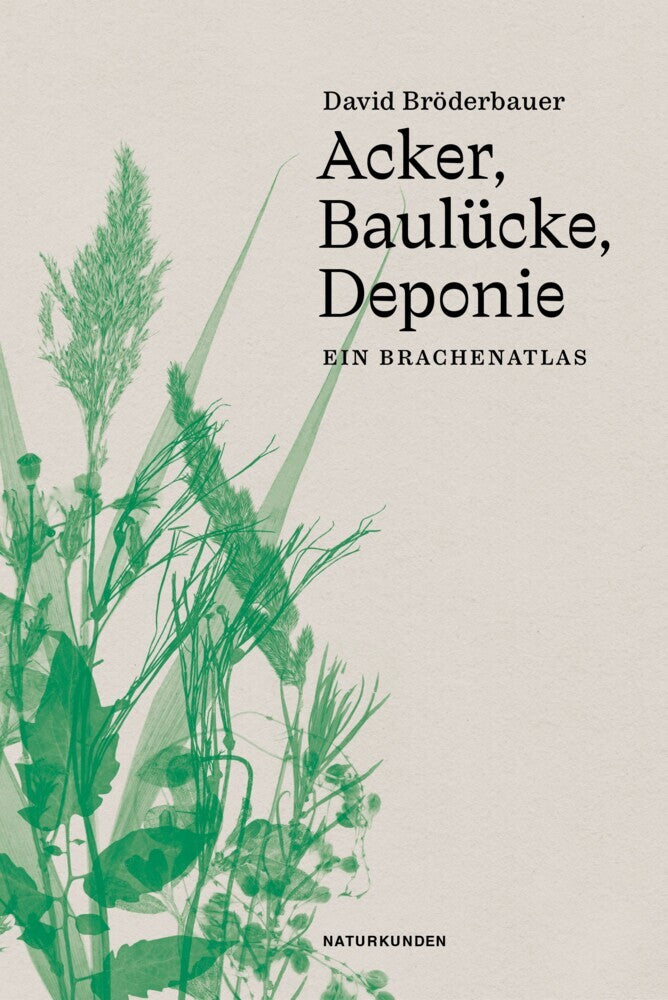 Acker, Baulücke, Deponie (David Bröderbauer)