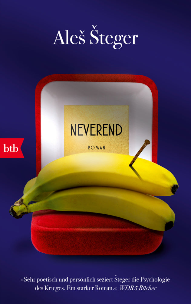 Neverend (Ales Steger)