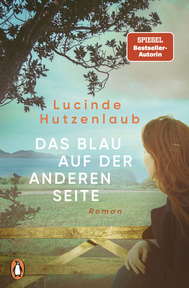 Das Blau auf der anderen Seite (Lucinde Hutzenlaub)