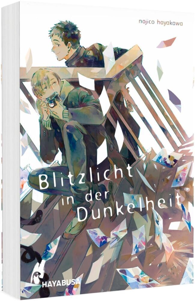 Blitzlicht in der Dunkelheit (Nojico Hayakawa)