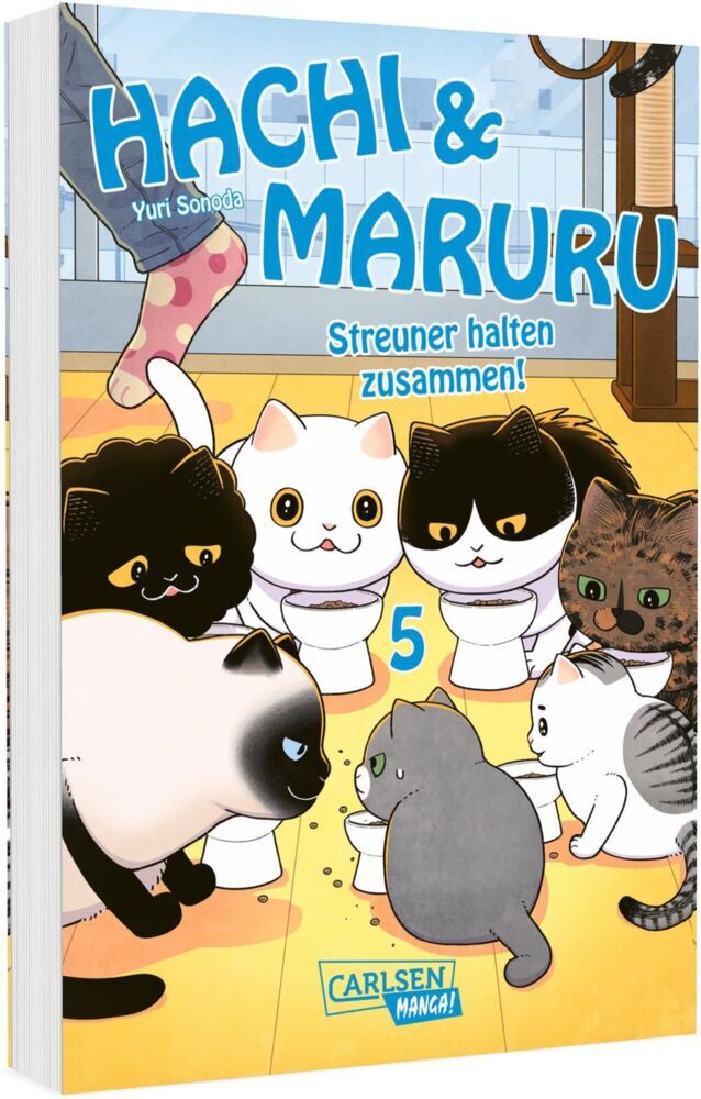 Hachi & Maruru - Streuner halten zusammen! 5 (Yuri Sonoda)
