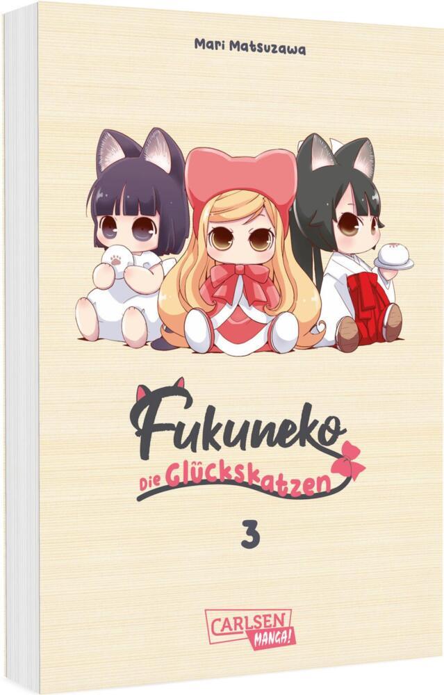 Fukuneko 3 (Mari Matsuzawa)