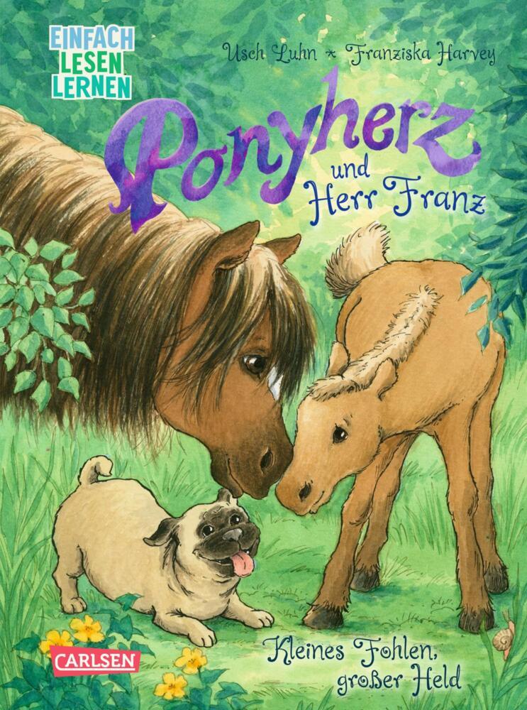 Ponyherz und Herr Franz: Kleines Fohlen, großer Held (Usch Luhn)