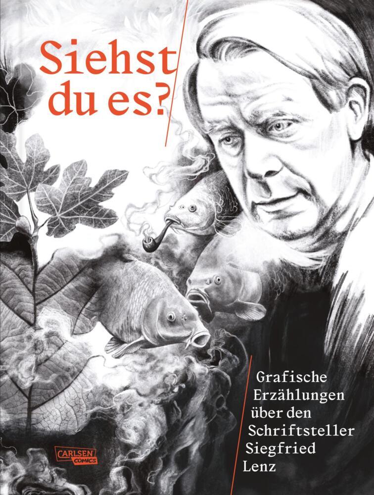 Siehst du es? Grafische Erzählungen über Siegfried Lenz (Siegfried Lenz Stiftung)