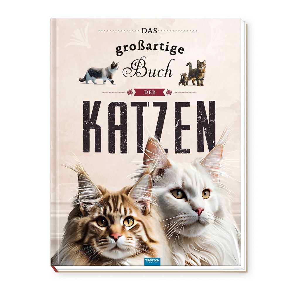 TRÖTSCH - Kinderbuch Das großartige Buch der Katzen| Ab 8 Jahren (Trötsch Verlag Gmbh & Co.Kg)