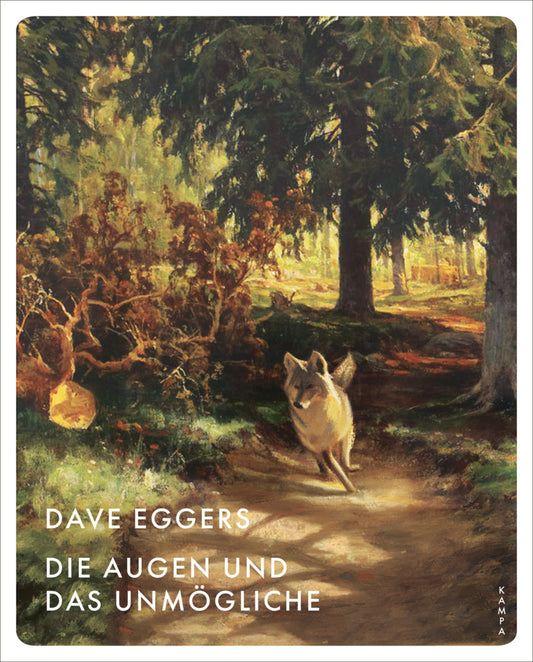 Die Augen und das Unmögliche (Dave Eggers)