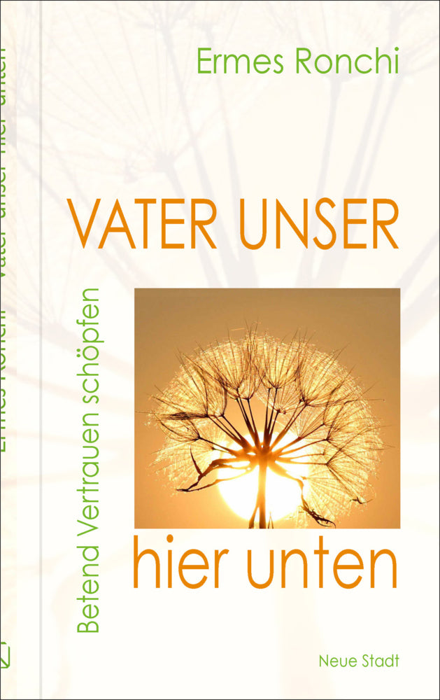Vater unser hier unten (Ermes Ronchi)