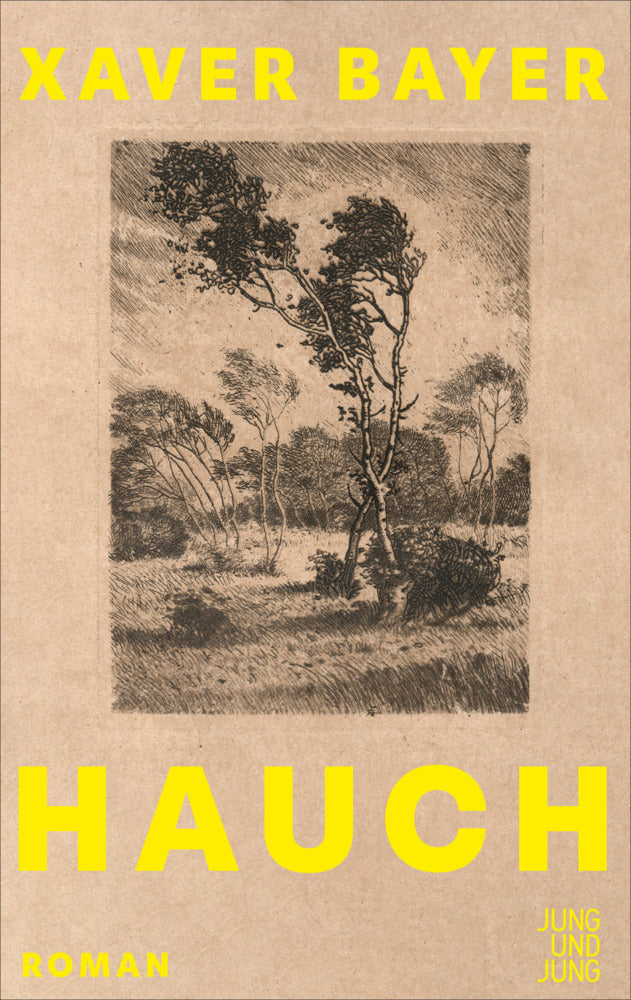 Hauch (Xaver Bayer)