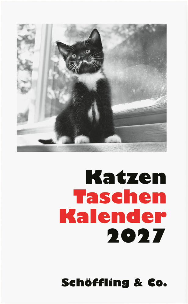 Katzen Taschenkalender 2027 (Julia Bachstein)