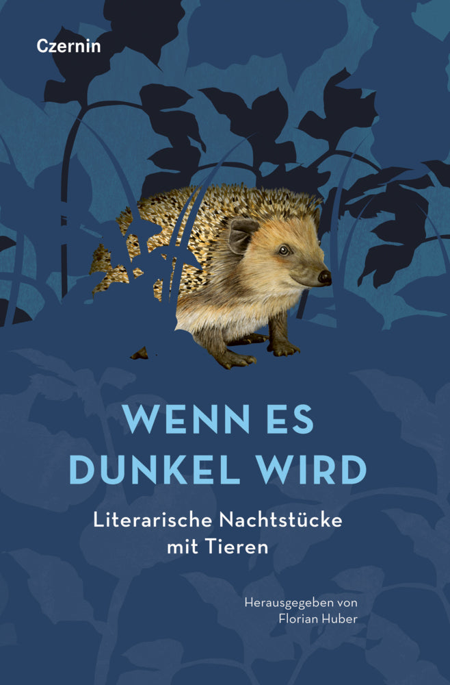 Wenn es dunkel wird (Florian Huber)