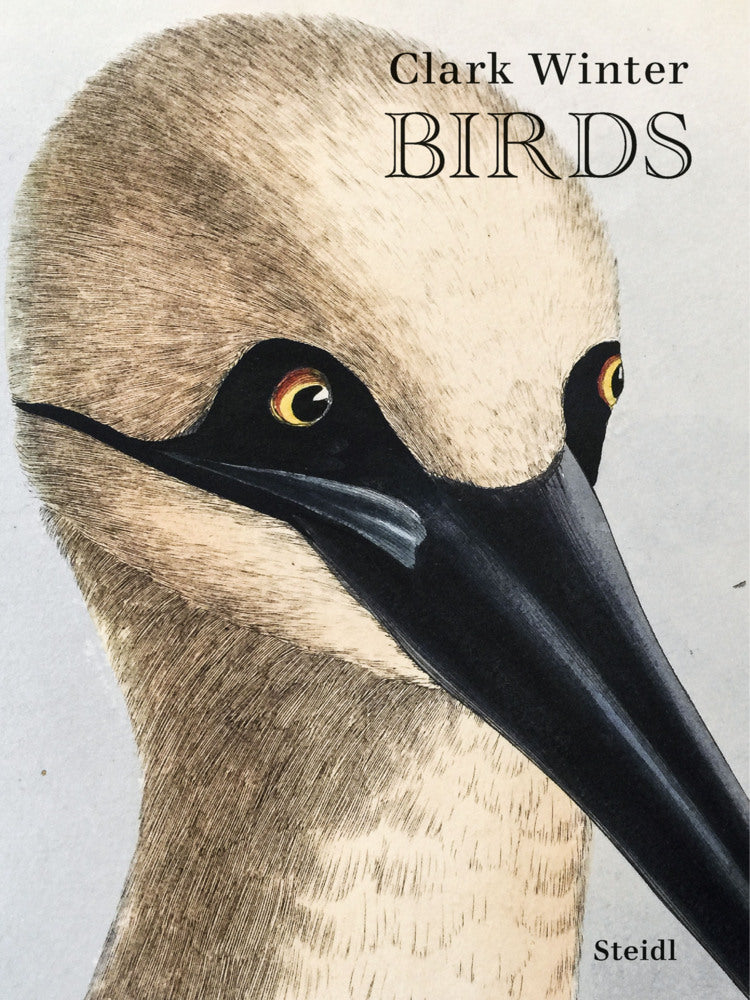 Birds (Clark Winter)