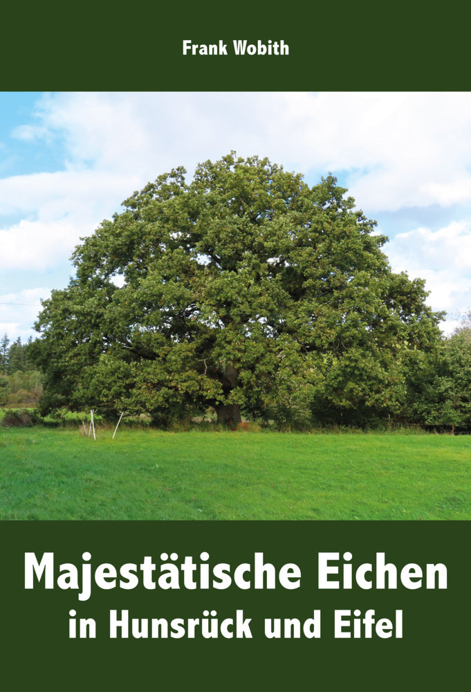 Majestätische Eichen in Hunsrück und Eifel (Frank Wobith)