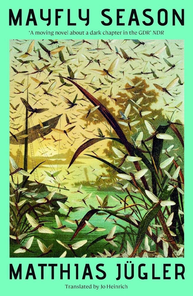 Mayfly Season (Matthias Jugler)