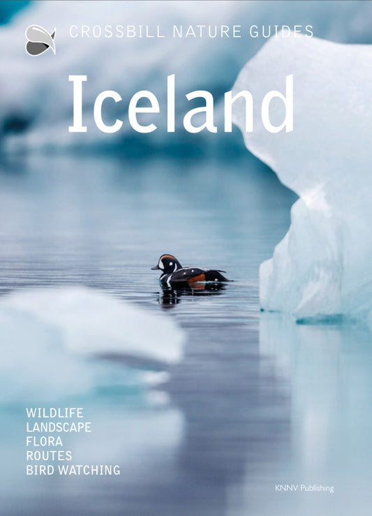 Iceland (Dirk Hilbers)