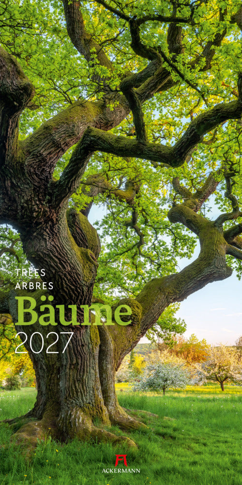 Bäume Kalender 2027 (Ackermann Kunstverlag Gmbh)