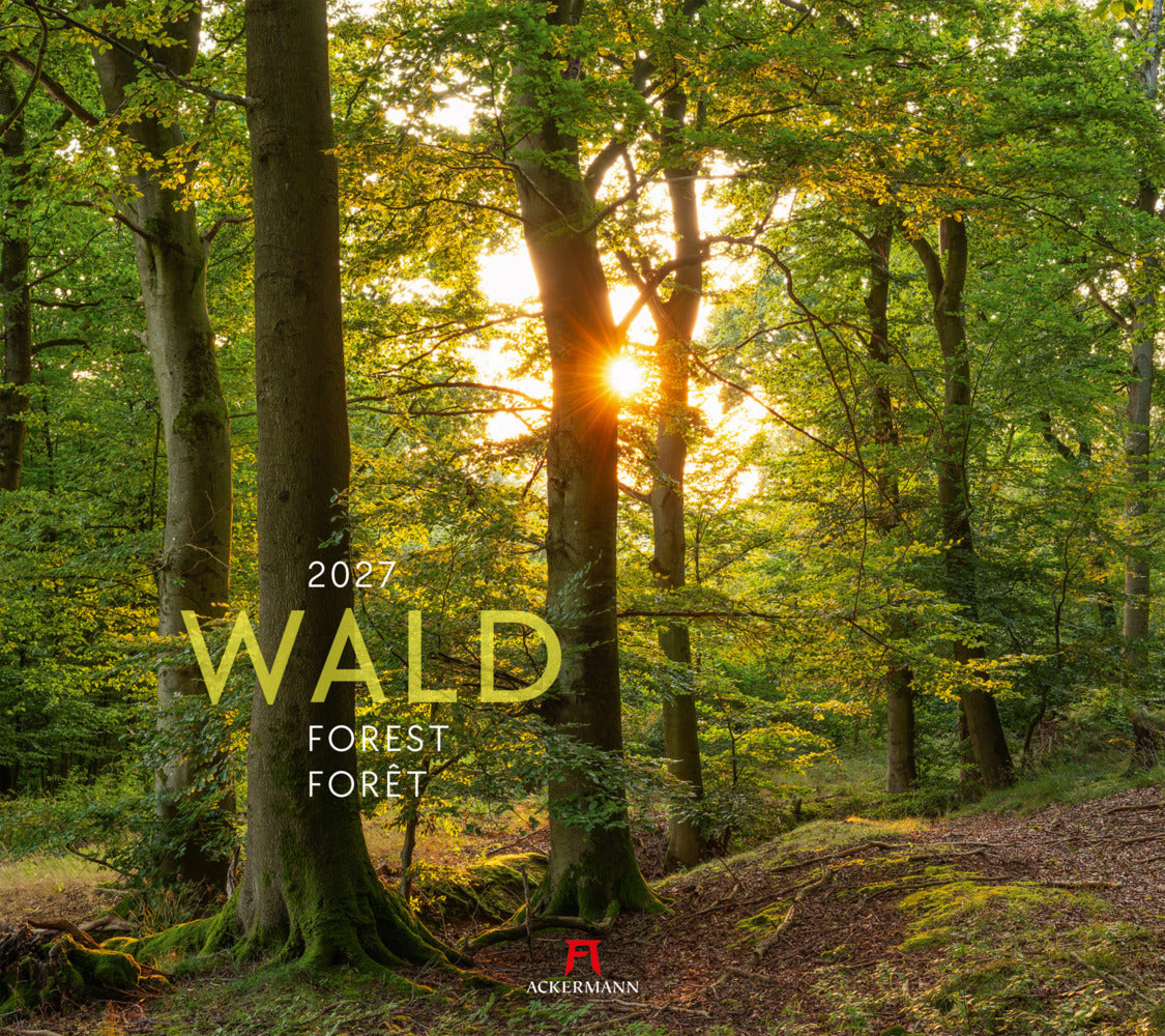Wald Kalender 2027 (Ackermann Kunstverlag Gmbh)