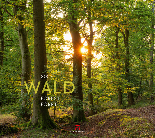 Wald Kalender 2027 (Ackermann Kunstverlag Gmbh)