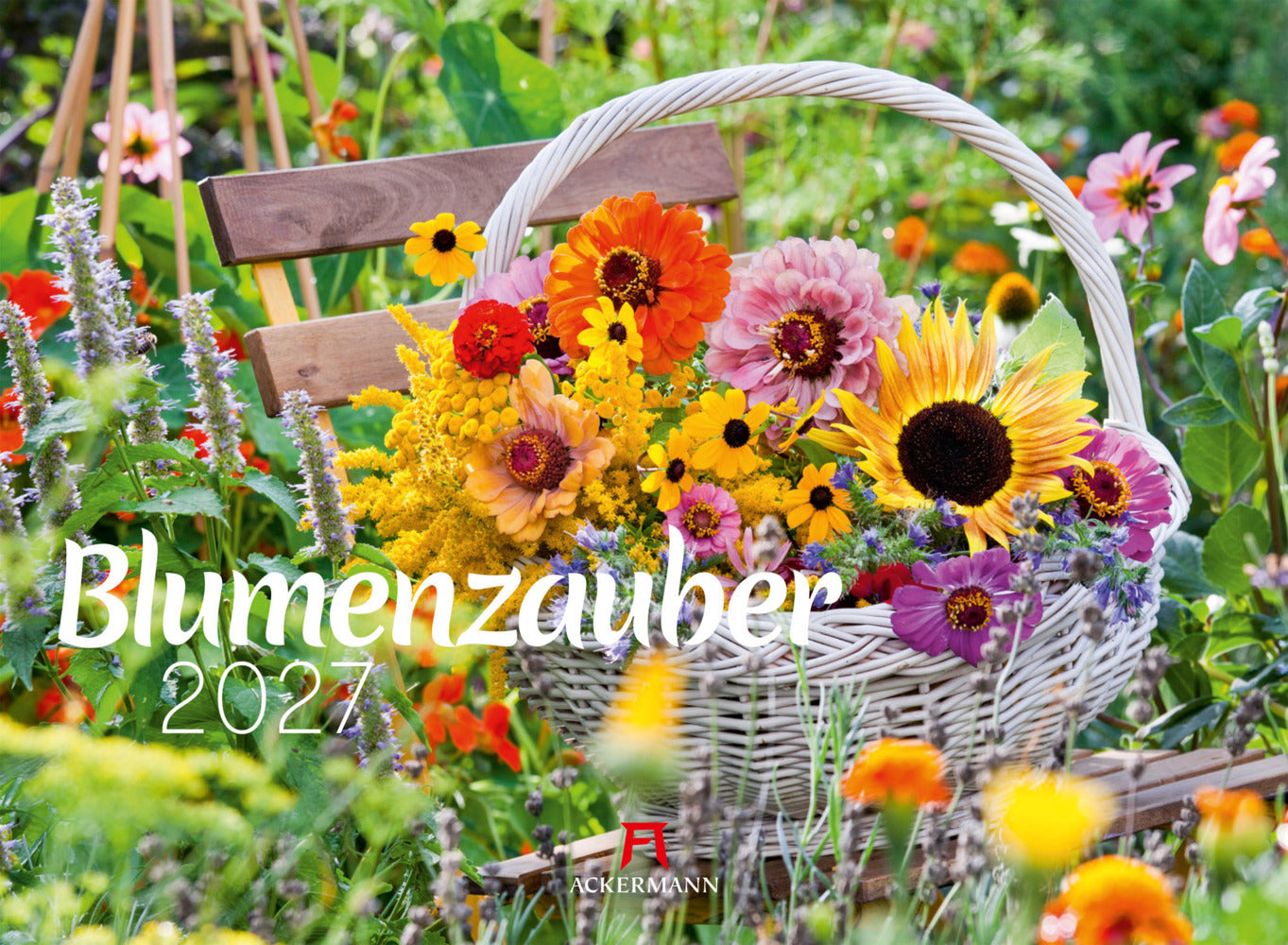 Blumenzauber Kalender 2027 (Ackermann Kunstverlag Gmbh)