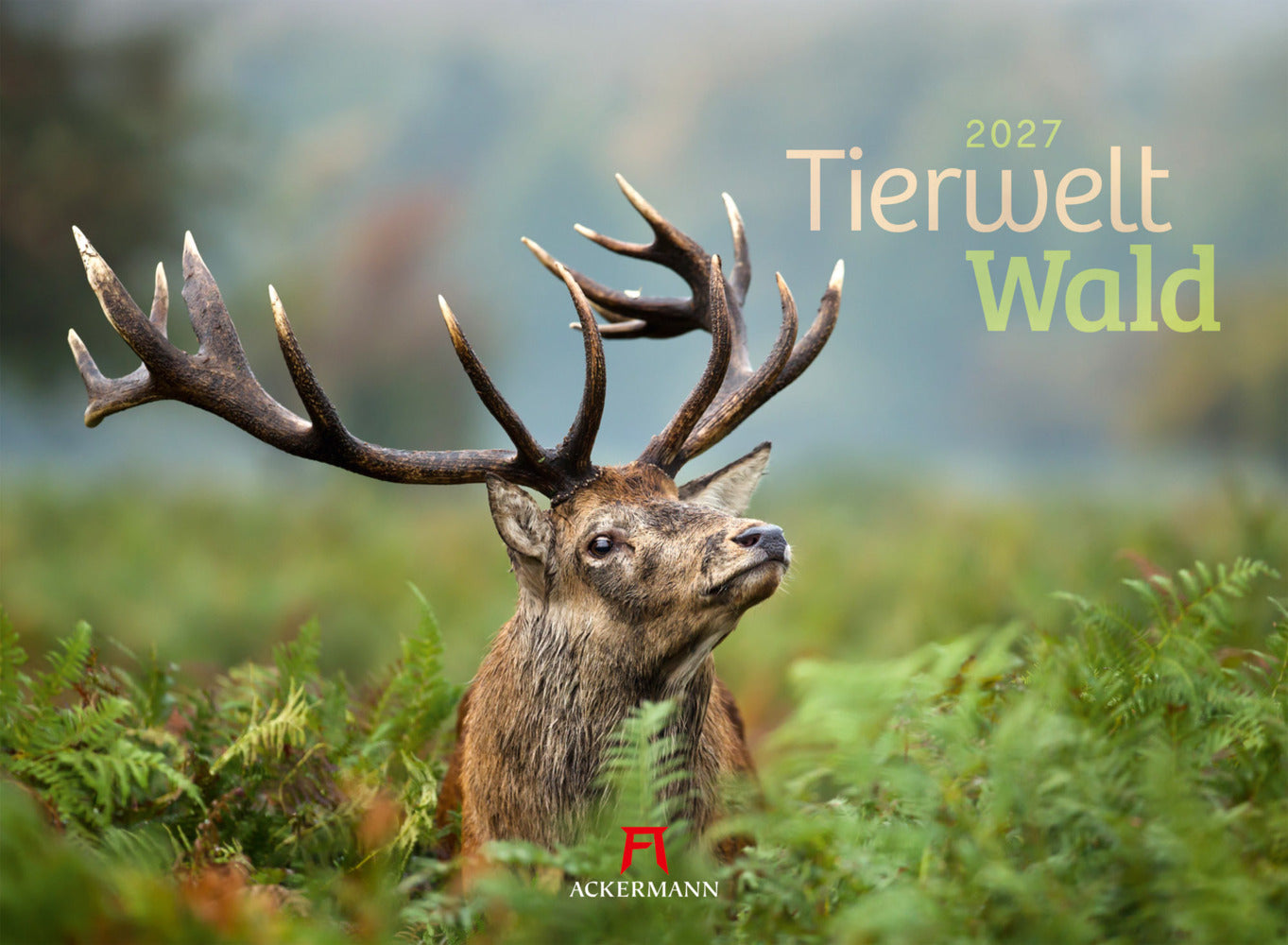 Tierwelt Wald Kalender 2027 (Ackermann Kunstverlag Gmbh)