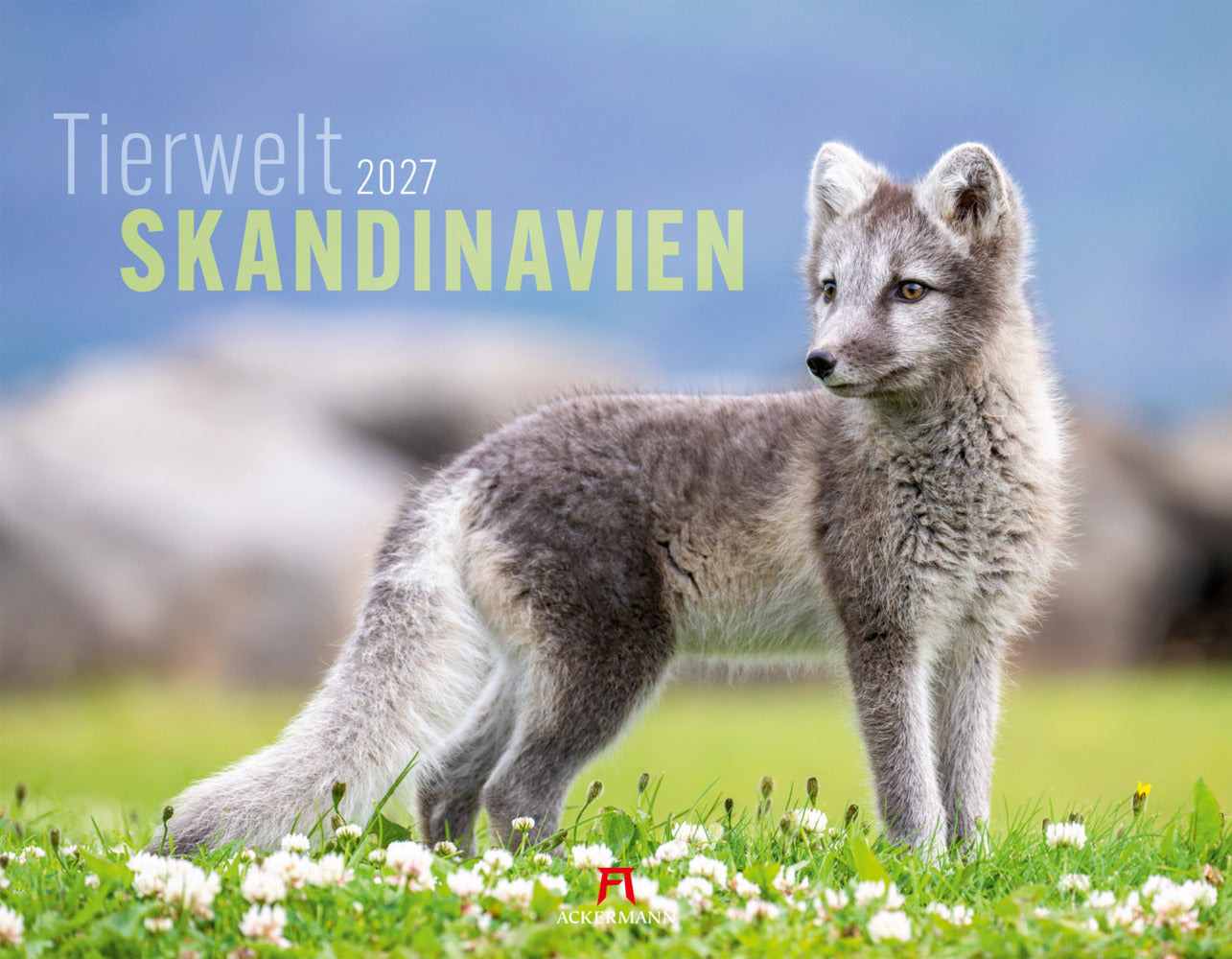 Tierwelt Skandinavien Kalender 2027 (Ackermann Kunstverlag Gmbh)
