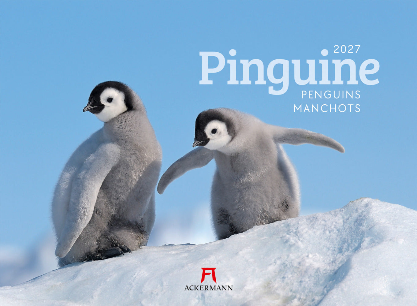 Pinguine Kalender 2027 (Ackermann Kunstverlag Gmbh)
