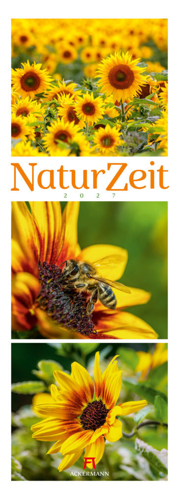 NaturZeit Triplet-Kalender 2027 (Ackermann Kunstverlag Gmbh)