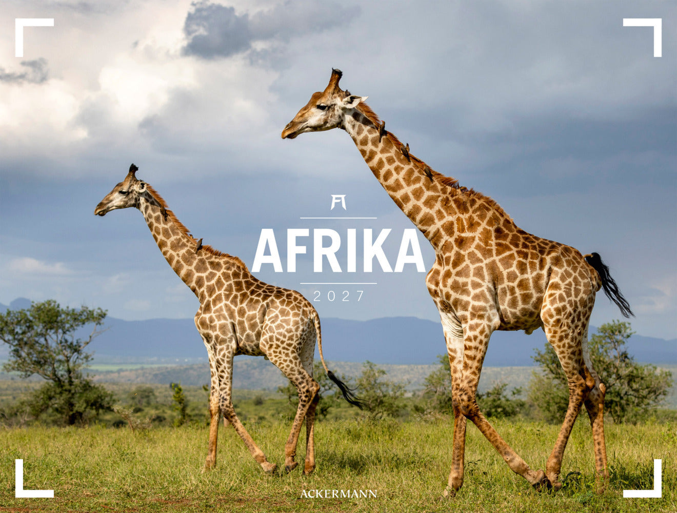 Afrika Gallery Kalender 2027 (Ackermann Kunstverlag Gmbh)