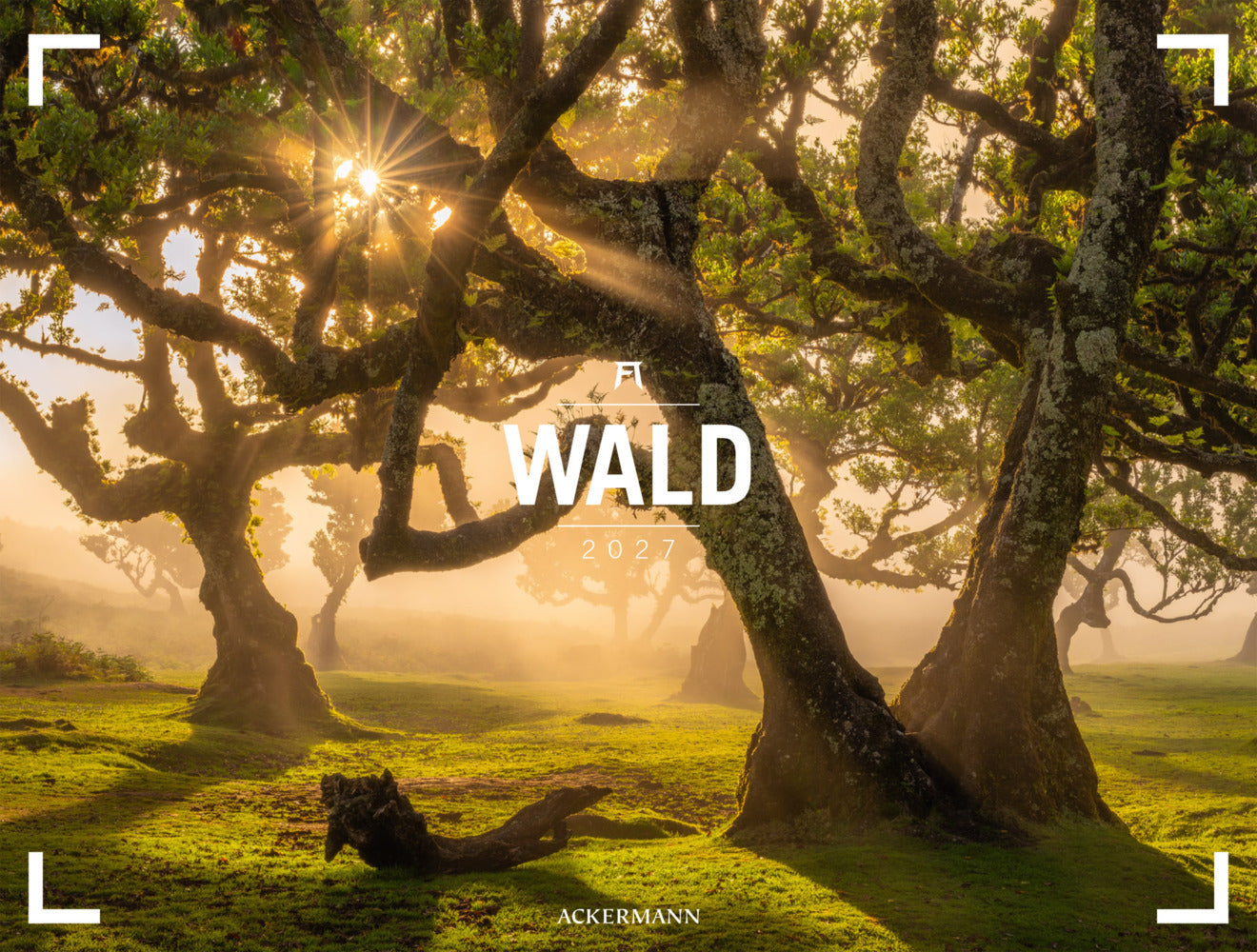 Wald Gallery Kalender 2027 (Ackermann Kunstverlag Gmbh)