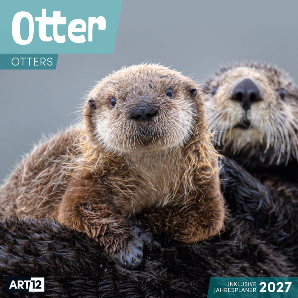 Otter Kalender 2027 - 30x30 - Art12 (Ackermann Kunstverlag Gmbh)