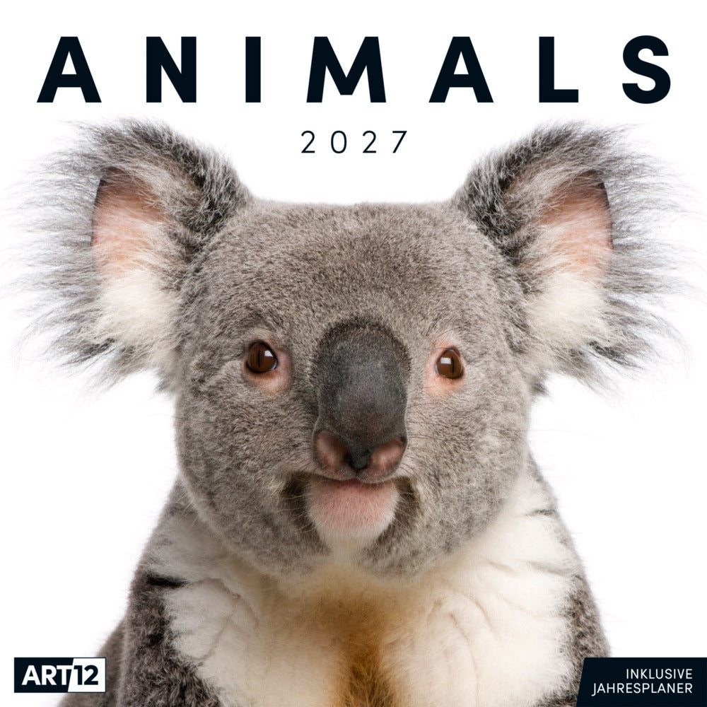 Animals Kalender 2027 - 30x30 - Art12 (Ackermann Kunstverlag Gmbh)