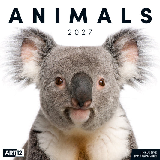 Animals Kalender 2027 - 30x30 - Art12 (Ackermann Kunstverlag Gmbh)